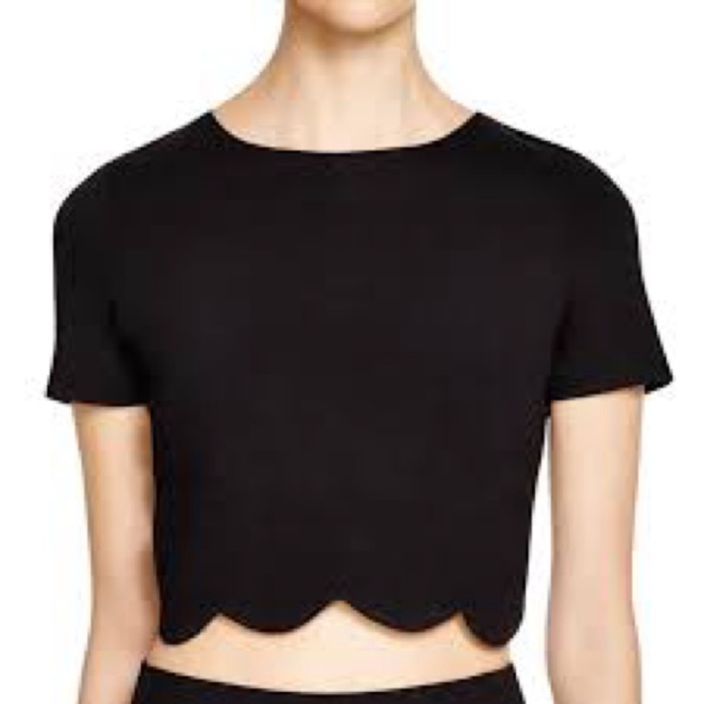 Aqua scalloped crop top black NWT SZ M